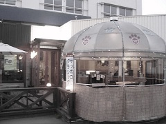 kandyspice(�L�����f�B�X�p�C�X)�~�R�X